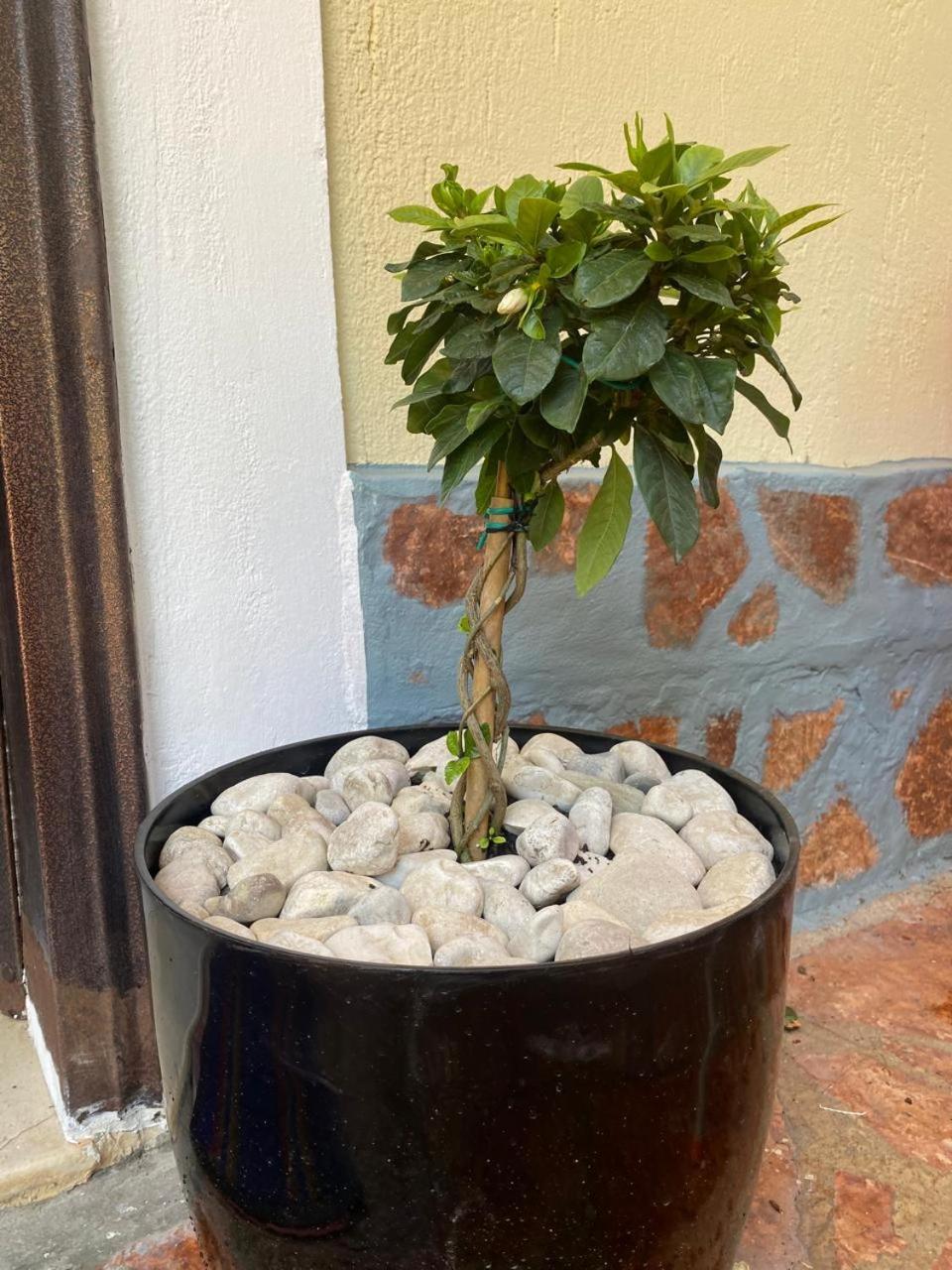 Olive Tree Apartment Sarande Luaran gambar