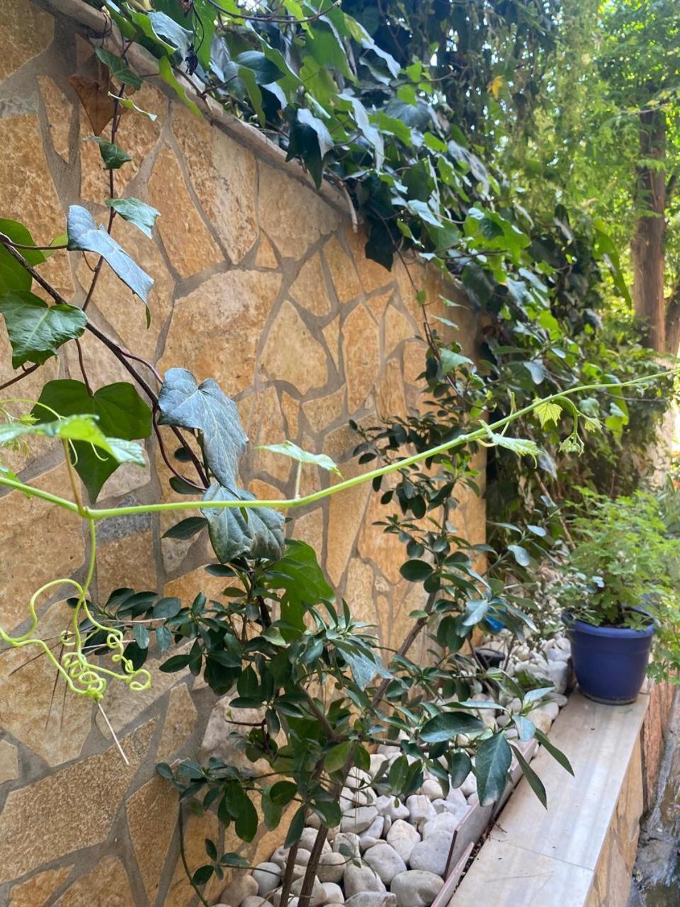 Olive Tree Apartment Sarande Luaran gambar